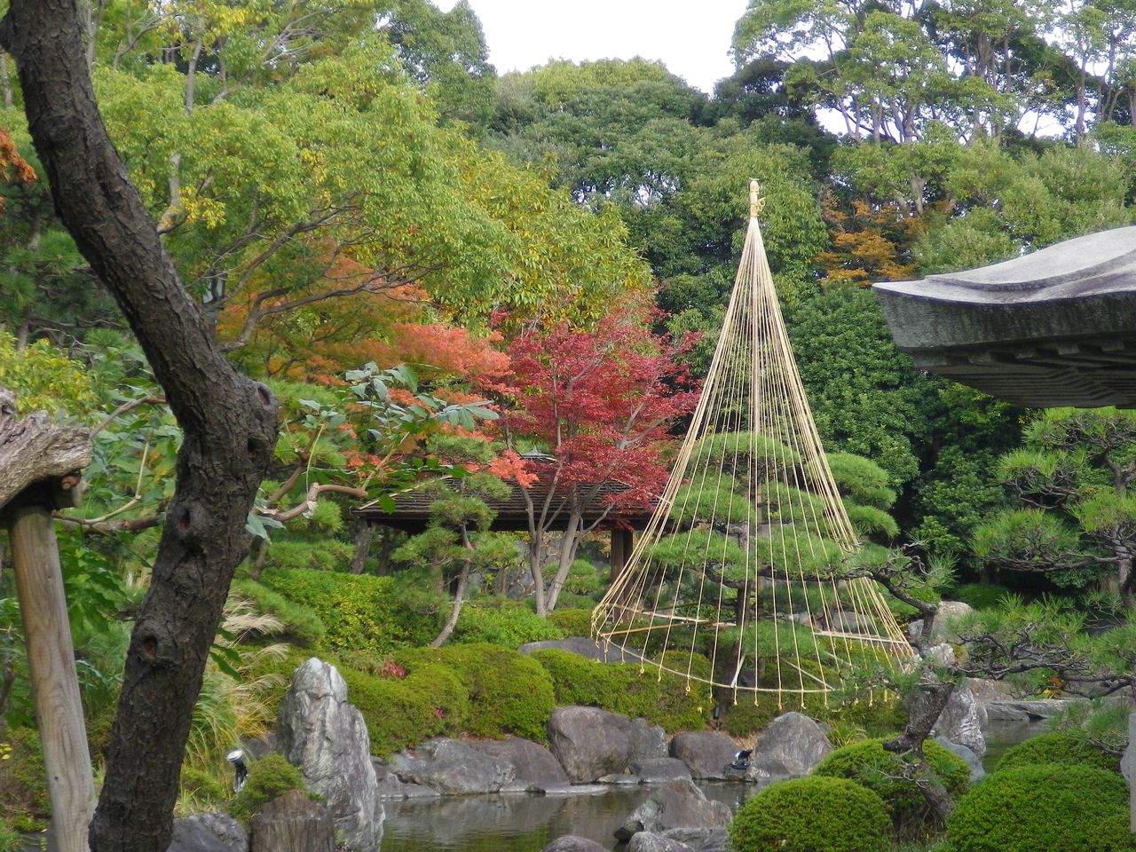 「朽葉色」と名づけられた日本の王朝文化あふれる優雅な色